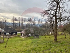 Casa traditionala+anexe gospodaresti in Giulesti Maramures - imagine 12