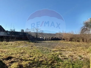 Casă cu 3 camere in Sarbi,Maramures - imagine 13