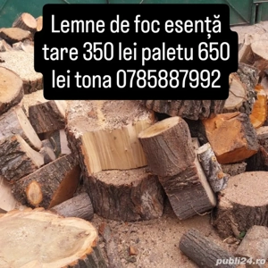 lemne de foc  - imagine 4