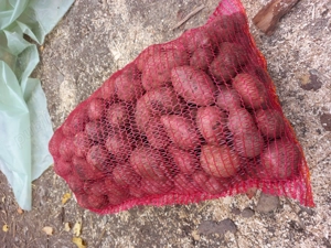 Cartofi consum rosu si alb sortat  - imagine 3