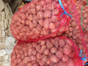 Cartofi pentru animale - imagine 2