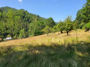 Teren intravilan Scărișoara