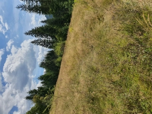 Teren extravilan superb Scărișoara - imagine 2