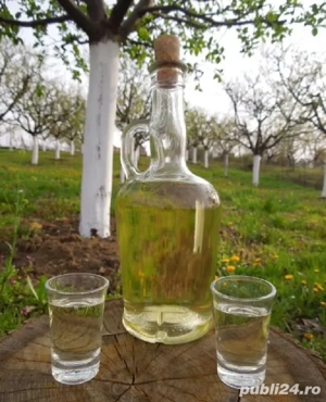 Palincă de mere Golden, 50Gr 