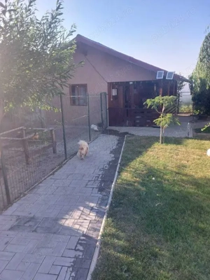 Vând casa in Caracal Str.Targul Nou, 120 mp construcție (2 camere , living + dressing)+foisor - imagine 7