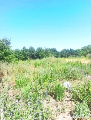 Casă de vanzare în Nădab, disponibilă in 2 rate, cu 3 camere și baie in zonă centrală - imagine 5