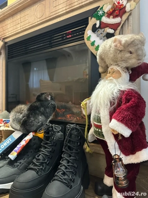 Vand Sinsila un mascul si o femela  - imagine 4