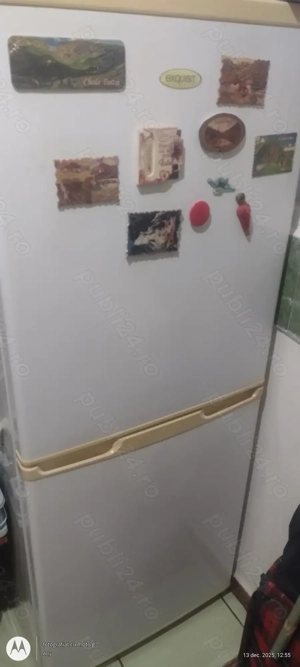 Combină frigorifică Exquisit 145 cm 