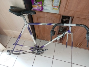 Cursiera Dangre France.