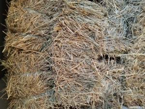 Baloți de calitate din ovăz 