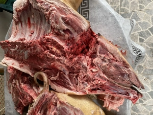 Cane de porc de vanzare - imagine 2