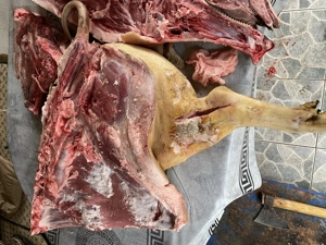 Cane de porc de vanzare - imagine 3