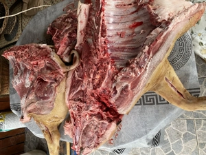 Cane de porc de vanzare - imagine 4