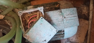 Motoare electrice monofazate și Trifazate diverse rotații  1000-3000 rotații minut