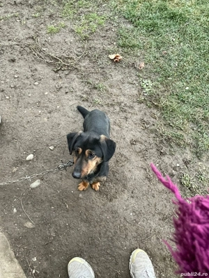 Donez Teckel Metis  - imagine 5