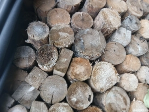 vind lemne  - imagine 3