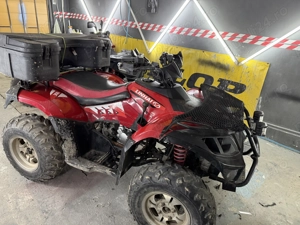 Linhai dragonfly - imagine 6