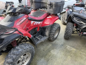 Linhai dragonfly - imagine 8