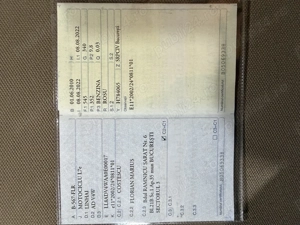 Linhai dragonfly - imagine 4