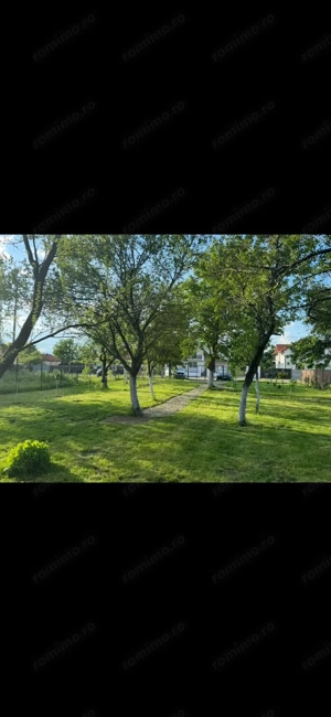 Teren intravilan Preajba Mare 