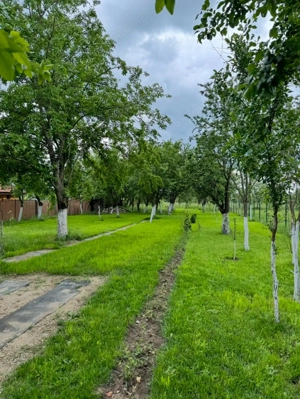 Teren intravilan Preajba Mare  - imagine 4