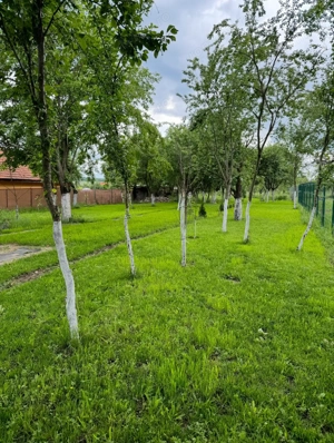 Teren intravilan Preajba Mare  - imagine 3