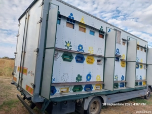 Camion apicol - imagine 4