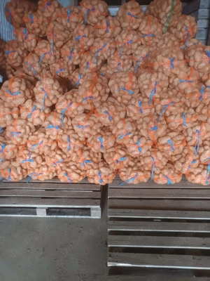 Cartofi consum rosu sí albi 