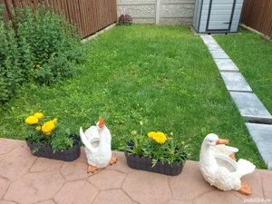 Casa de vanzare in Dumbravita - imagine 10