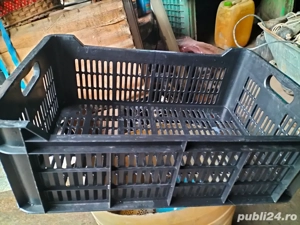 Vând lăzi din plastic   fixe, rezistente