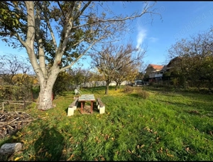 Teren Episcopia - imagine 2