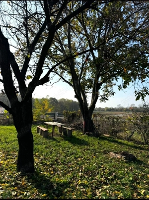 Teren Episcopia - imagine 5