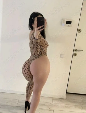 Hey te aștept Harmanului 