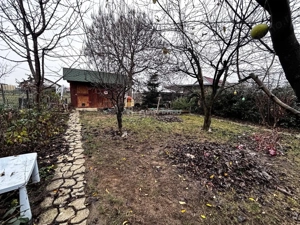 Casa cu gr #259;dina - Cartierul Nou - imagine 14