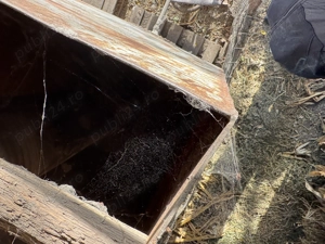 Cazan de țuică din cupru alimentar 