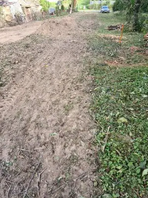 teren viile satu mare