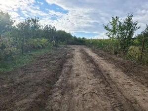 teren viile satu mare - imagine 2