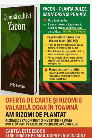 vand carte yacon si rizomi