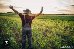 angajam operator utilaje agricole (tractorist)