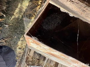 cazan de tuica 190 l 