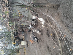 Păsări de curte crescute natural - imagine 3