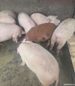 Schimbare de locatie.