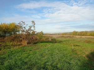 loc de casă Ineu Bihor - imagine 5