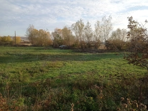 loc de casă Ineu Bihor - imagine 7