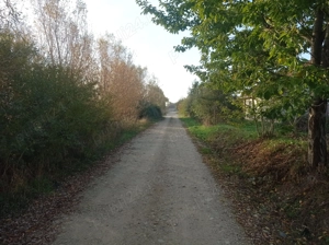 loc de casă Ineu Bihor - imagine 3