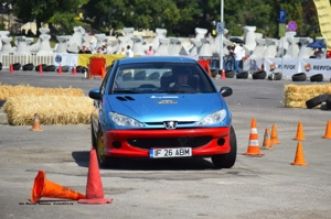Peugeot 206 destinat competițiilor sportive - imagine 6
