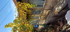 Casa Craiova str Raului 146