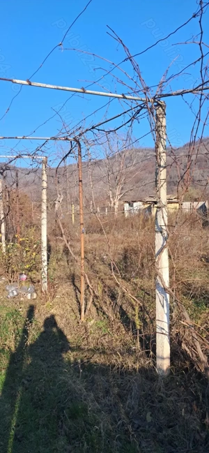 Casă bătrâneasca si teren. - imagine 5