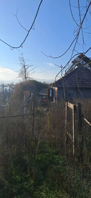 Casă bătrâneasca si teren. - imagine 4