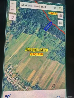 Vand padure - imagine 2